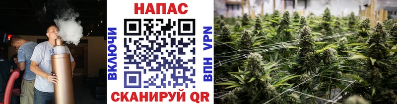 Шишки марихуана семена  darknet наркотические препараты  Белогорск  купить  сайты 